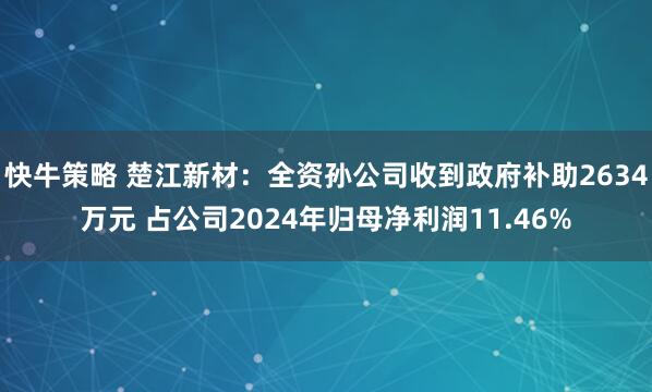 快牛策略 楚江新材：全资孙公司收到政府补助2634万元 占公司2024年归母净利润11.46%