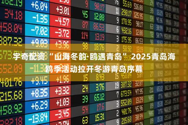 宇奇配资 “山海冬韵·鸥遇青岛” 2025青岛海鸥季活动拉开冬游青岛序幕