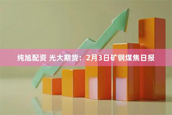 纯旭配资 光大期货：2月3日矿钢煤焦日报