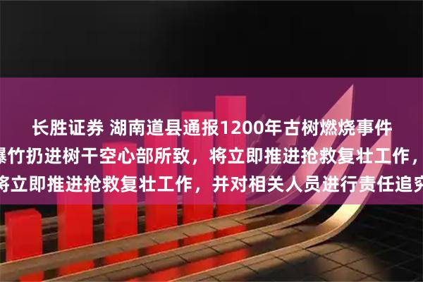 长胜证券 湖南道县通报1200年古树燃烧事件：系2名未成年小孩将爆竹扔进树干空心部所致，将立即推进抢救复壮工作，并对相关人员进行责任追究