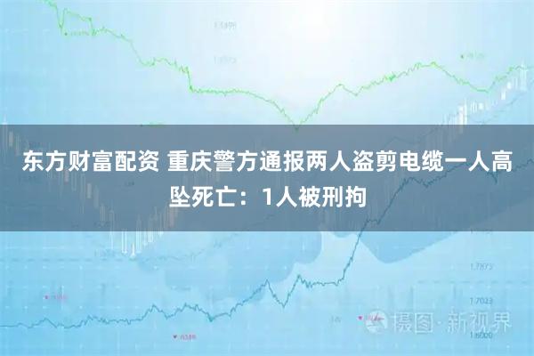东方财富配资 重庆警方通报两人盗剪电缆一人高坠死亡：1人被刑拘