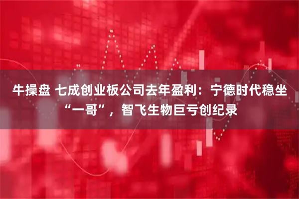 牛操盘 七成创业板公司去年盈利：宁德时代稳坐“一哥”，智飞生物巨亏创纪录