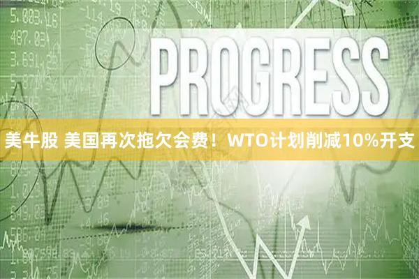 美牛股 美国再次拖欠会费！WTO计划削减10%开支
